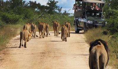 Encontro com Rinocerontes no Kruger e Matobo de 7 dias (com Alojamento) — 5