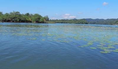 Experiência da Guatemala a Belize — 3
