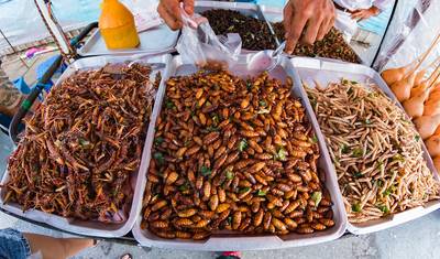Thailand Real Food Adventure — 3