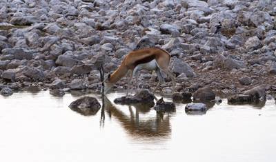 Przygoda Cape i Namibia — 4