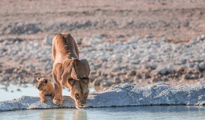 Aventura no Botswana e Cataratas Vitória — 2