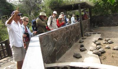 Excursão Terrestre Incrível de 5 Dias em Galápagos visitando 3 Ilhas — 2