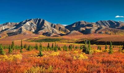 Nature's Best: Alaska — 2