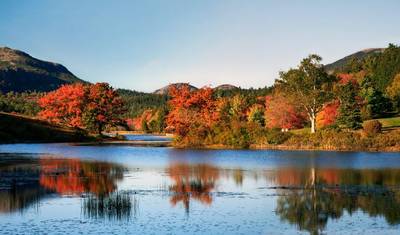 Classic Fall Foliage — 2