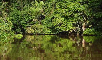 Maravilhas Naturais da Costa Rica com Guanacaste — 3