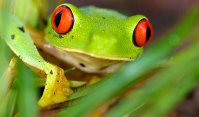 Maravilhas Naturais da Costa Rica com Guanacaste — 2