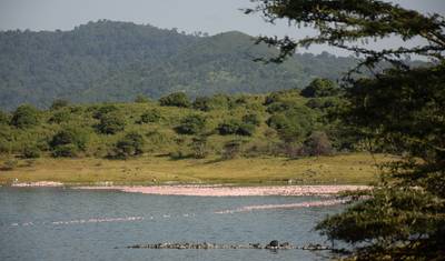 Tanzânia: O Serengeti e Além — 4