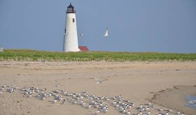 Boston, Cape Cod i Wyspy (8 destynacji) — 3