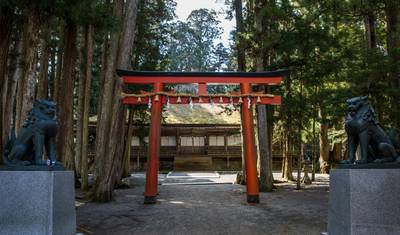 Japan Express – De Osaka a Tóquio — 5