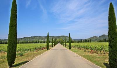 Borgonha: Beaune e Além — 2