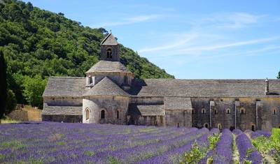 Campos de Lavanda e Vinhedos da Provença — 2
