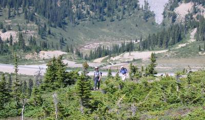 أفضل ما في Banff وJasper، جولة الفنادق — 4