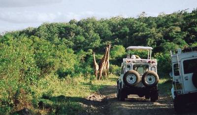 Serengeti e Cratera de Ngorongoro — 3