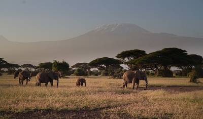 Serengeti e Cratera de Ngorongoro — 5