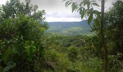 La Selva Lodge - مغامرة مستقلة لمدة 5 أيام — 2