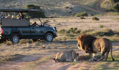 Rota Jardim, Safari e Região dos Vinhos — 5