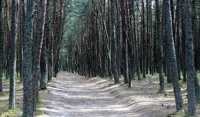 مغامرة البلطيق — 4
