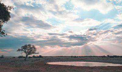 Tusker Trails — 4