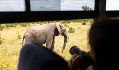 Safári Familiar na África do Sul com Adolescentes — 4