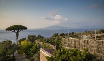 Local Living Italy—Sorrento — 5