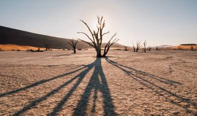 Safári Alojado Expresso de Sossusvlei de 3 Dias — 2