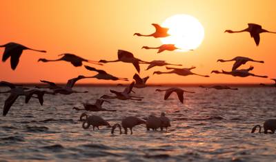 Aventura Alojada de 4 Dias em Swakopmund e Sossusvlei — 3