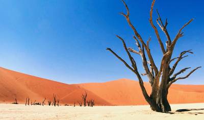 Aventura Alojada de 4 Dias em Swakopmund e Sossusvlei — 5