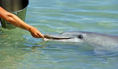 جولة من Broome إلى Perth مع Kalbarri وNingaloo Reef وExmouth وKarijini — 5