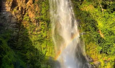 Excursão às Cataratas Wli e ao Santuário de Macacos Tafi Atome — 3