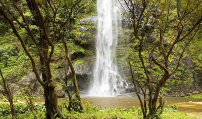Excursão às Cataratas Wli e ao Santuário de Macacos Tafi Atome — 5