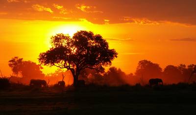 Subida ao Monte Kilimanjaro - 8 dias — 5