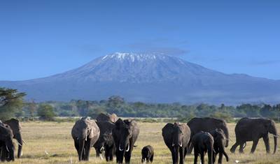 Subida ao Monte Kilimanjaro - 8 dias — 4
