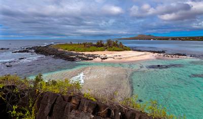 Galápagos em Destaque: Ilhas do Sul (Grand Daphne) — 4