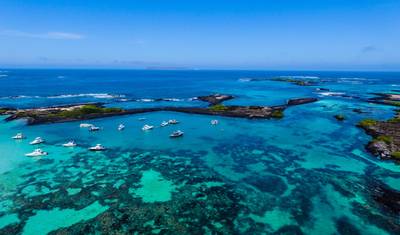 Galápagos em Destaque: Ilhas do Sul (Grand Daphne) — 5