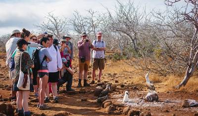 Aventura nas Galápagos: Ilhas do Norte (Grand Daphne) — 5