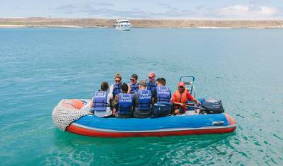 Galápagos Definitivo: Ilhas Centrais (Grand Daphne) — 3
