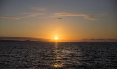 Galápagos: Roteiro Terrestre entre Ilhas (4 destinos) — 4
