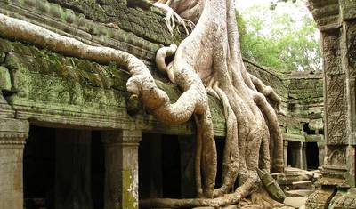 Descoberta do Camboja e Vietnã — 5