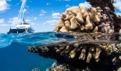 Eye On The Reef - Programa de Conservação Marinha na Grande Barreira de Corais — 5