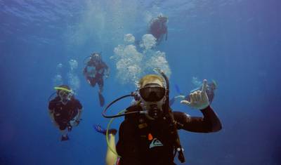 Eye On The Reef - Programa de Conservação Marinha na Grande Barreira de Corais — 2