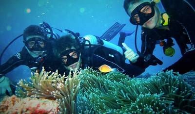 Eye On The Reef - Programa de Conservação Marinha na Grande Barreira de Corais — 3