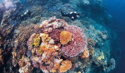 Eye On The Reef - Programa de Conservação Marinha na Grande Barreira de Corais — 4