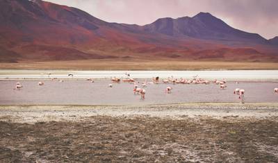 Aventura no Salar de Uyuni e Deserto 4 Dias/3 Noites (Atacama a Atacama) — 3