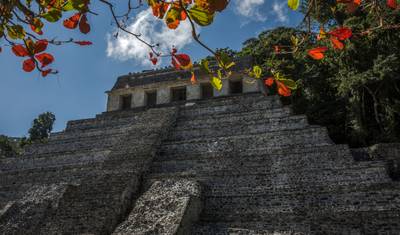 Mayan Trail — 2