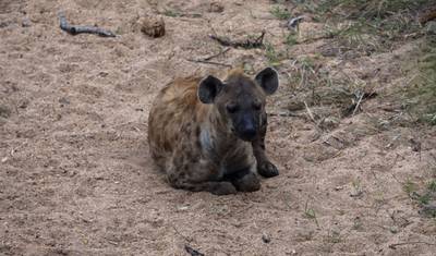 23 dias: Kruger, Victoria Falls & Zanzibar (Acampamento) — 5