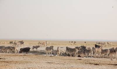 Namibia: Wodospady Wiktorii do Windhoek — 5