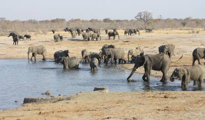 Szlak Safari po Zimbabwe i Botswanie — 5