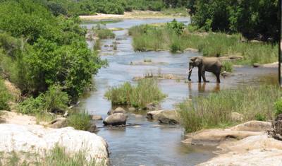 África do Sul Moçambique Praia e Savana — 4