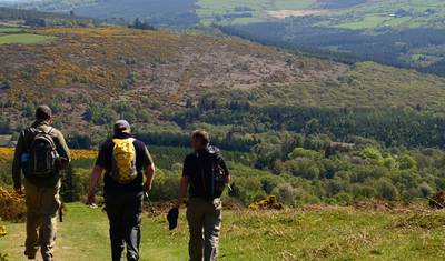 The Wicklow Way: Samodzielna wycieczka 4-dniowa — 4