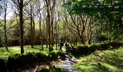 The Wicklow Way: Samodzielna wycieczka 4-dniowa — 5